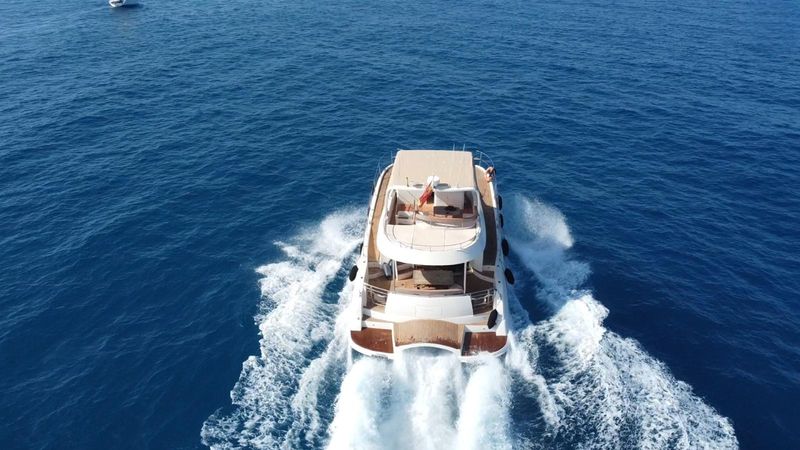 Flash Cat 43 | Little Mia