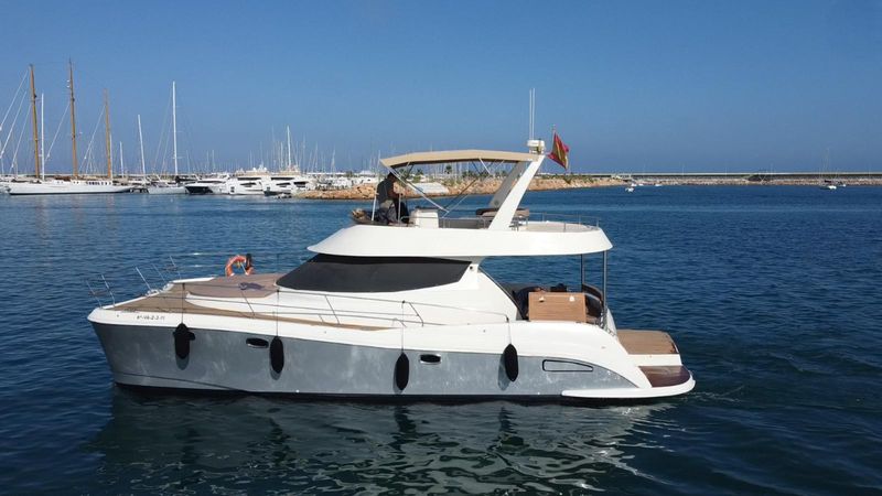 Flash Cat 43 | Little Mia