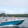 Bayliner M15 | 23