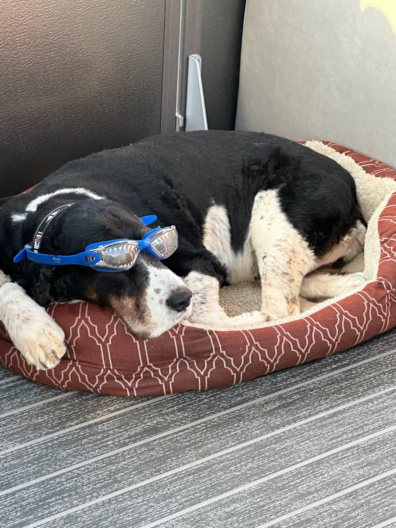 Xquisite Yachts X54 | Stella Blue