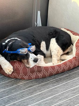 Xquisite Yachts X54 | Stella Blue