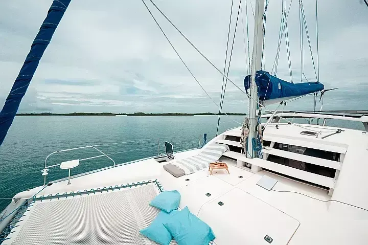 Leopard 40 | One Love