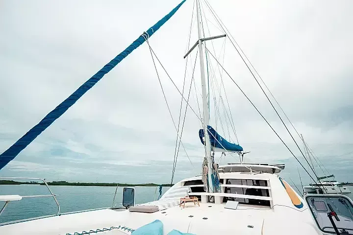 Leopard 40 | One Love