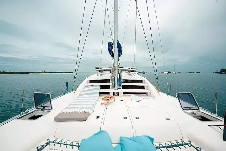 Leopard 40 | One Love