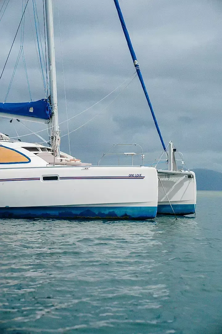 Leopard 40 | One Love