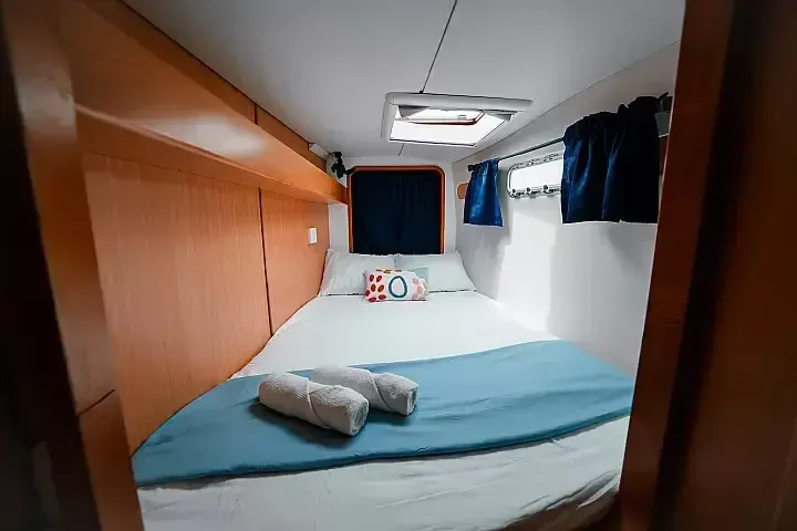 Leopard 40 | One Love