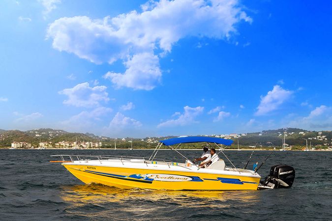 Bowen 31 | Excellency