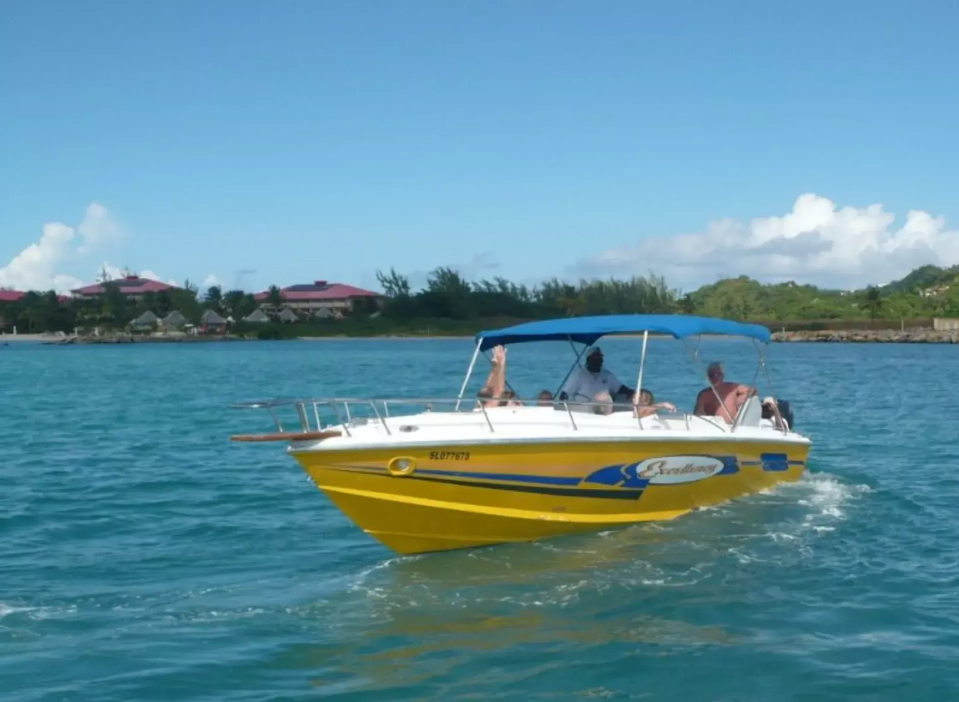 Bowen 31 | Excellency