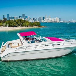 Sea Ray 44 | Last Fling