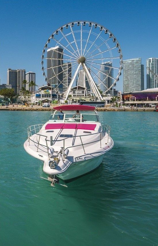 Sea Ray 44 | Last Fling