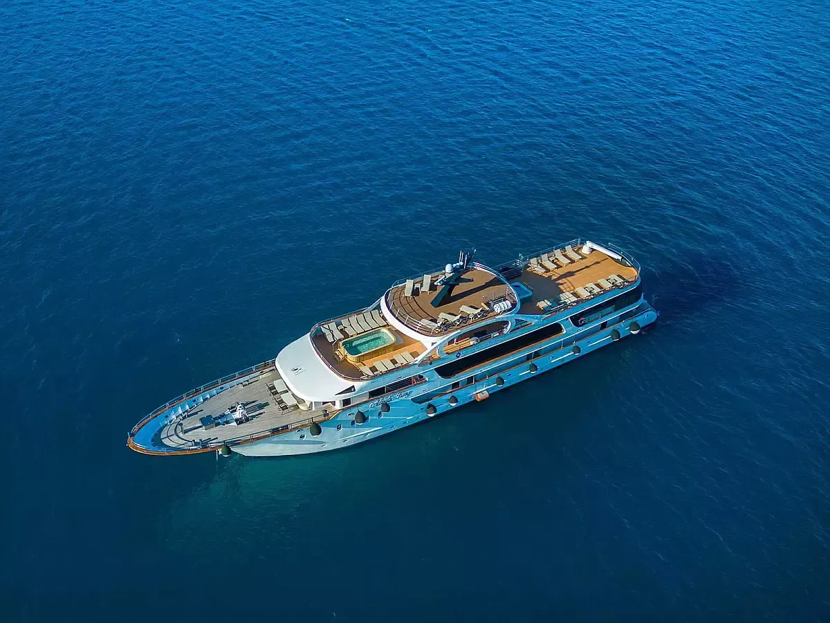 Custom Built 170 | Adriatic King