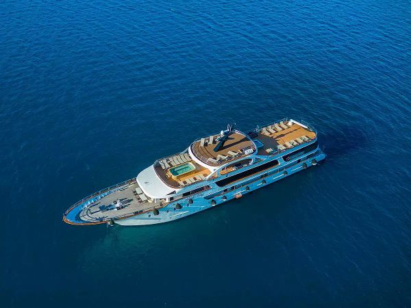 Custom Built 170 | Adriatic King