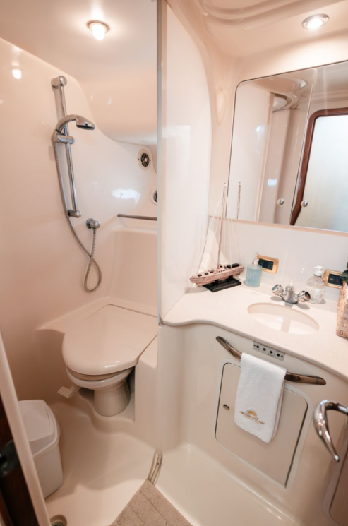 Sea Ray 450 | Mr. Sea