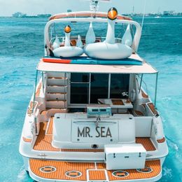 Sea Ray 450 | Mr. Sea