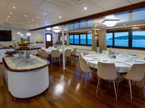 Custom Built 170 | MS Avantura