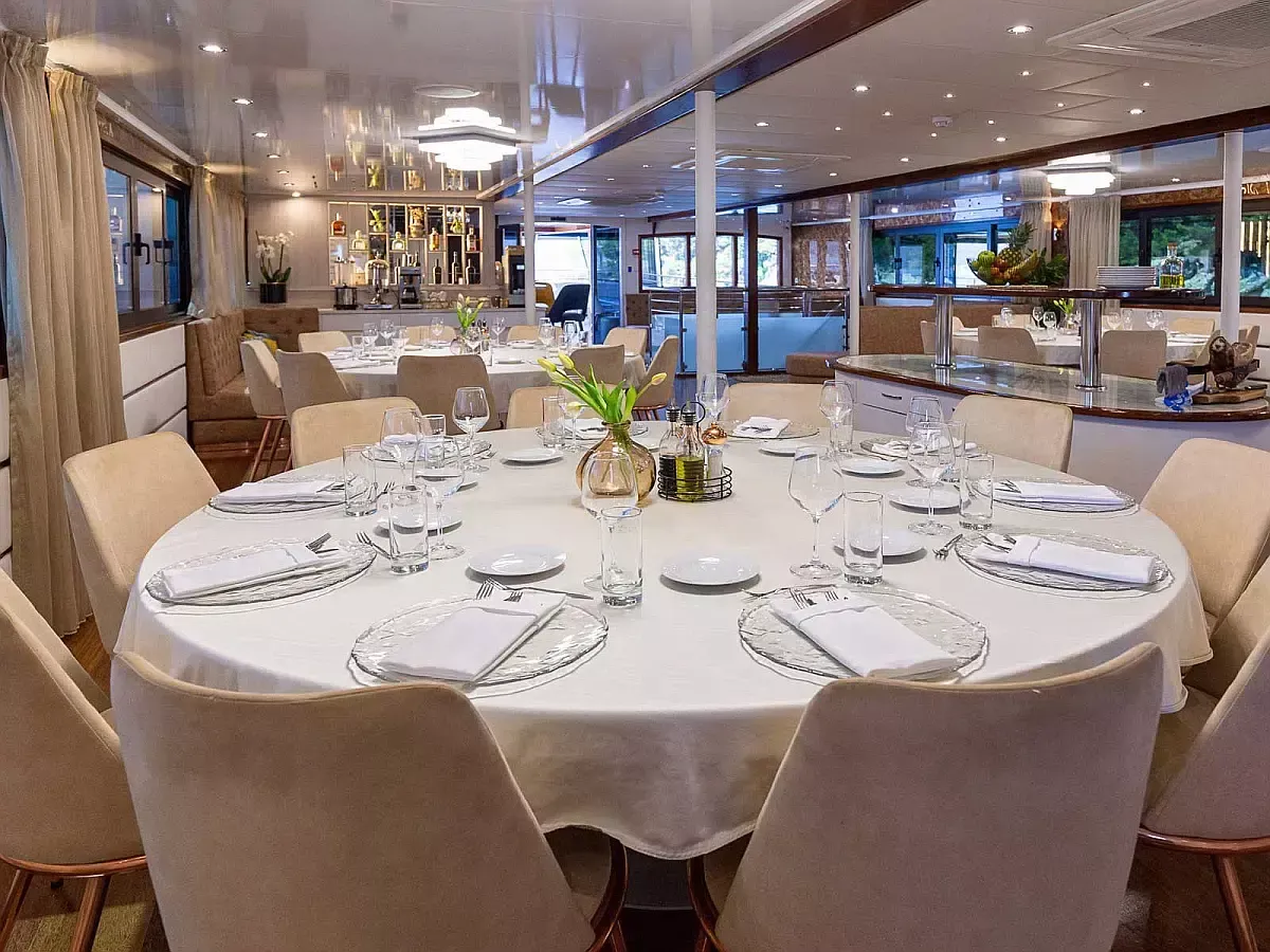 Custom Built 170 | MS Avantura