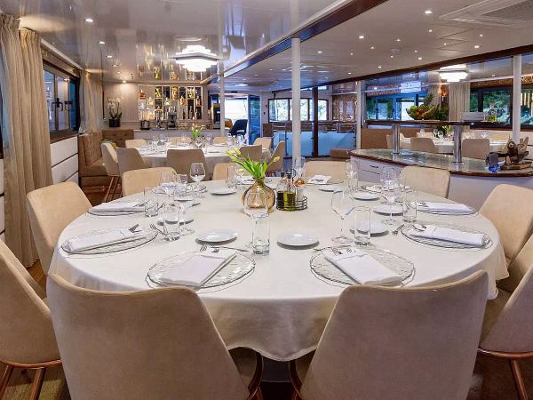 Custom Built 170 | MS Avantura