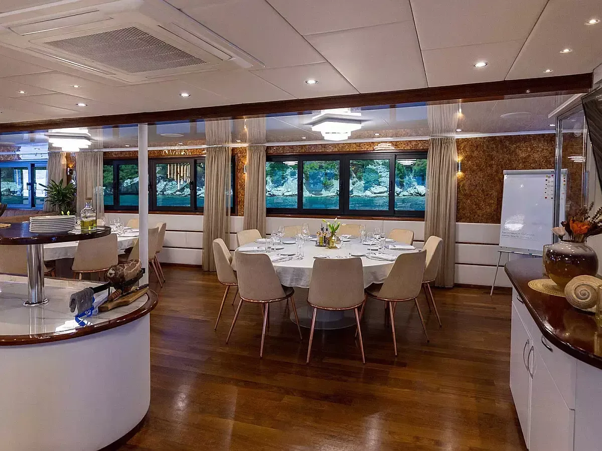 Custom Built 170 | MS Avantura