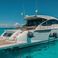 Fairline 62 | Tints