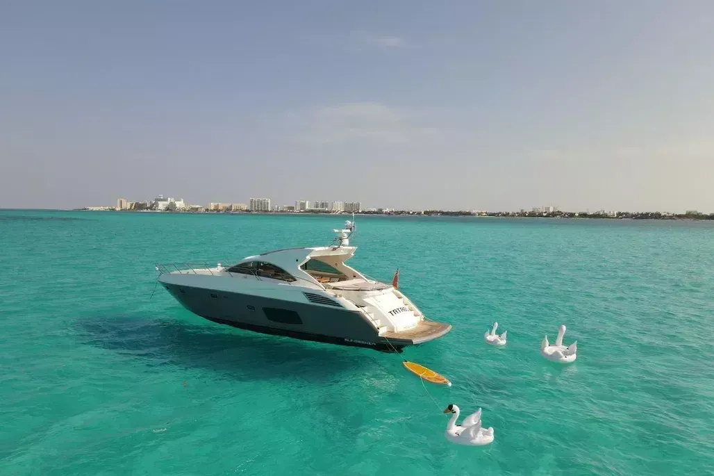 Sunseeker Predator 60 | Tatabu