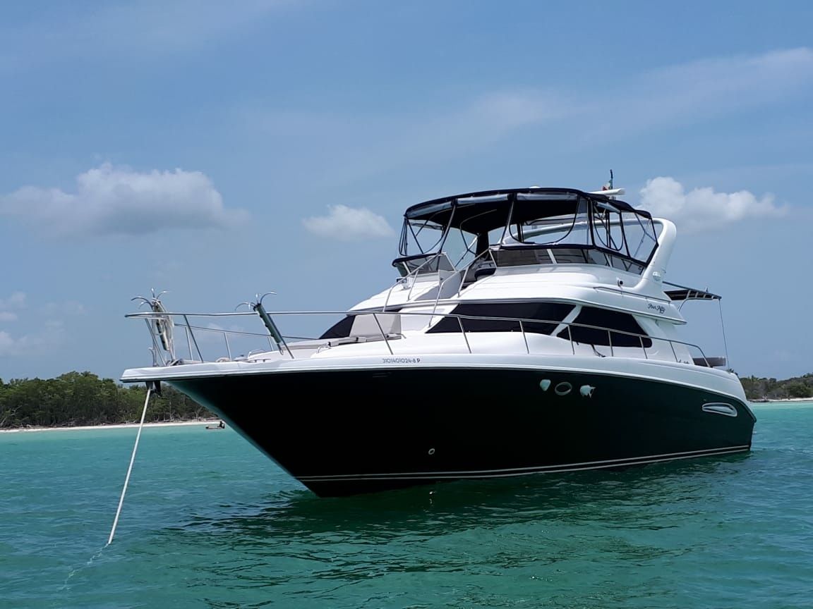 Sea Ray 48 | Maestro