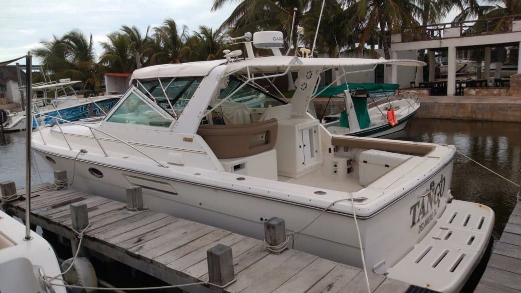 Tiara 3500 Express | Tango