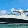 Sea Ray Sundancer 44 | Marcello