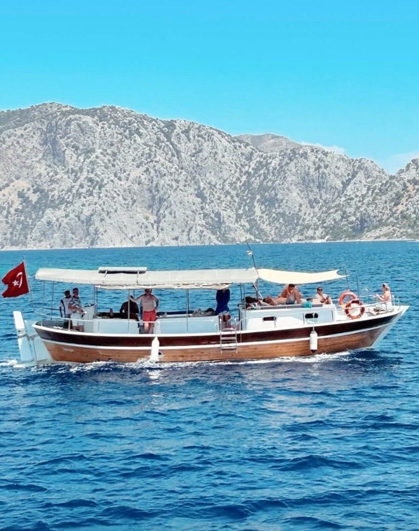 Custom Built 36 | Falcon