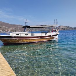 Custom Built 36 | Falcon