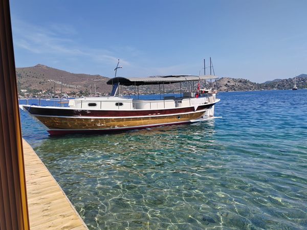 Custom Built 36 | Falcon