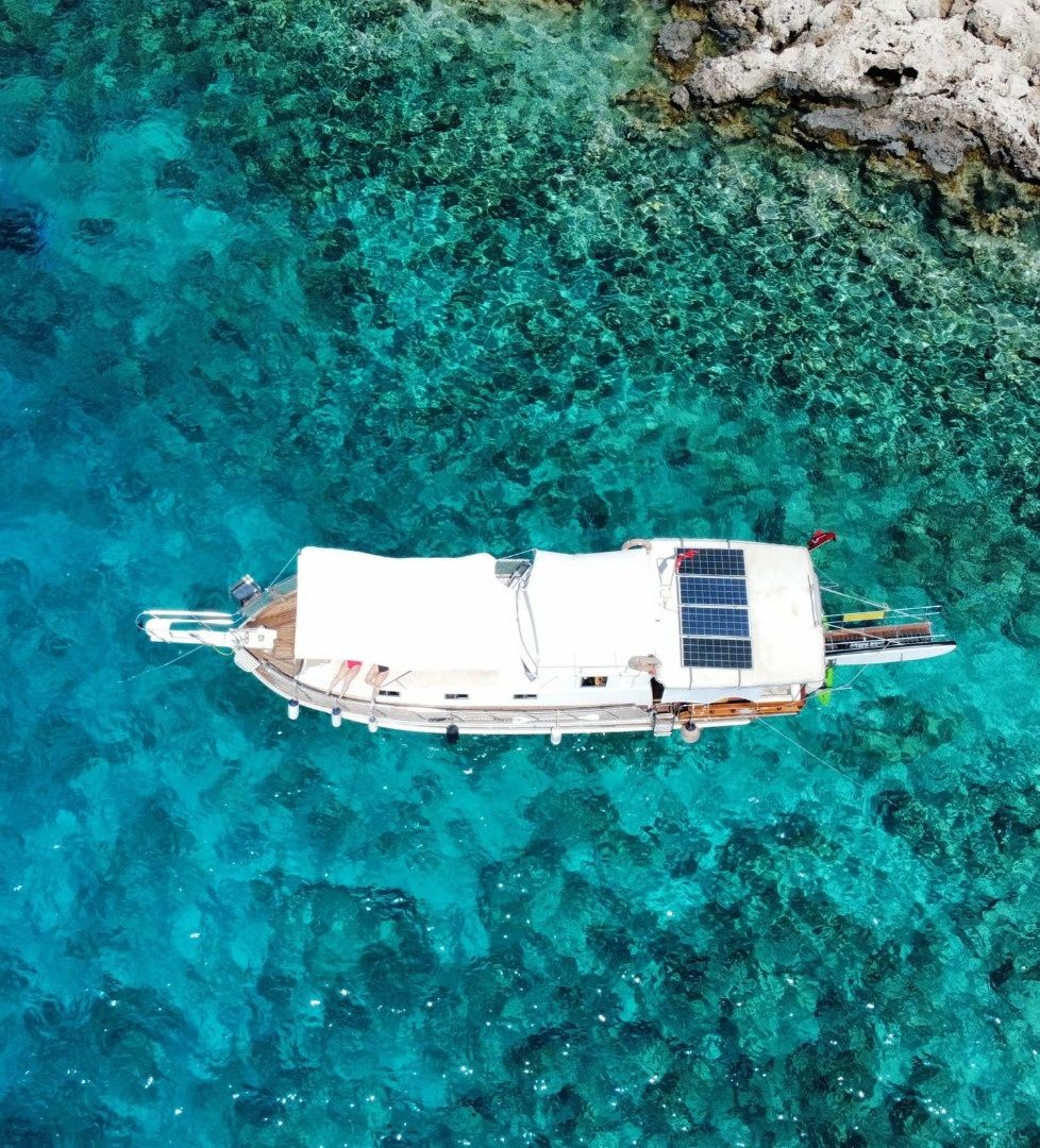 Custom Built 36 | Argos