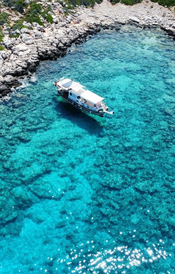 Custom Built 36 | Argos