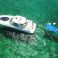 Sea Ray 420 Sundancer | Pirentinha