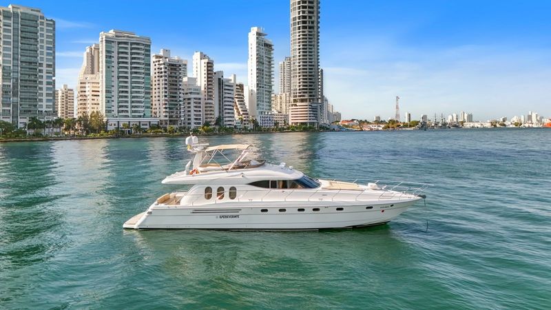 Viking 70 | Ilperseverante