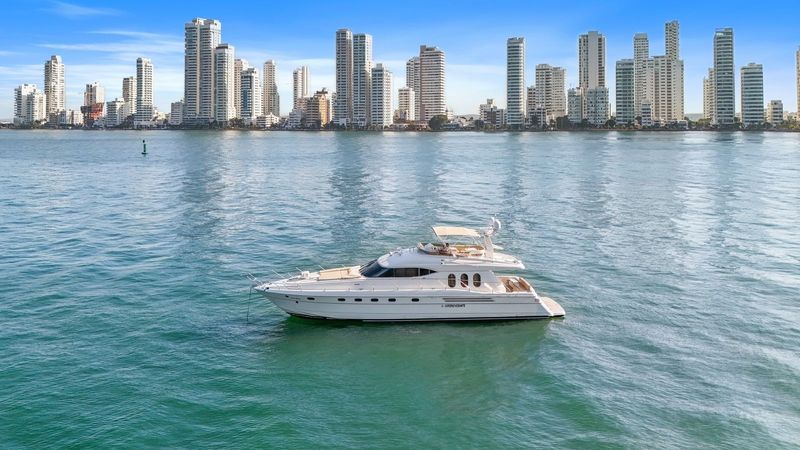 Viking 70 | Ilperseverante