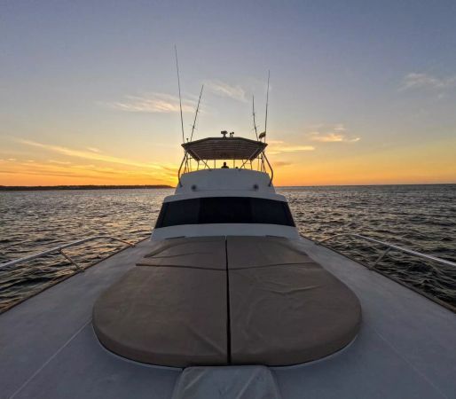 Buddy Davis 61 | Odyssey