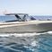 Canados Gladiator 493 | Grand