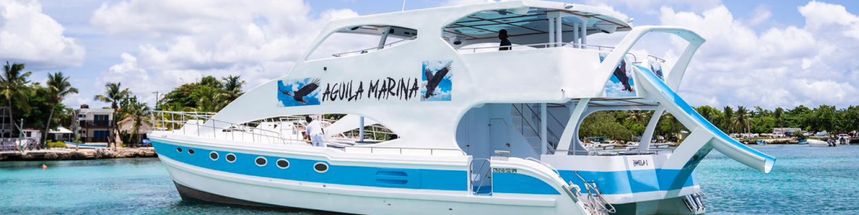 Custom Built 60 | Pamela 1