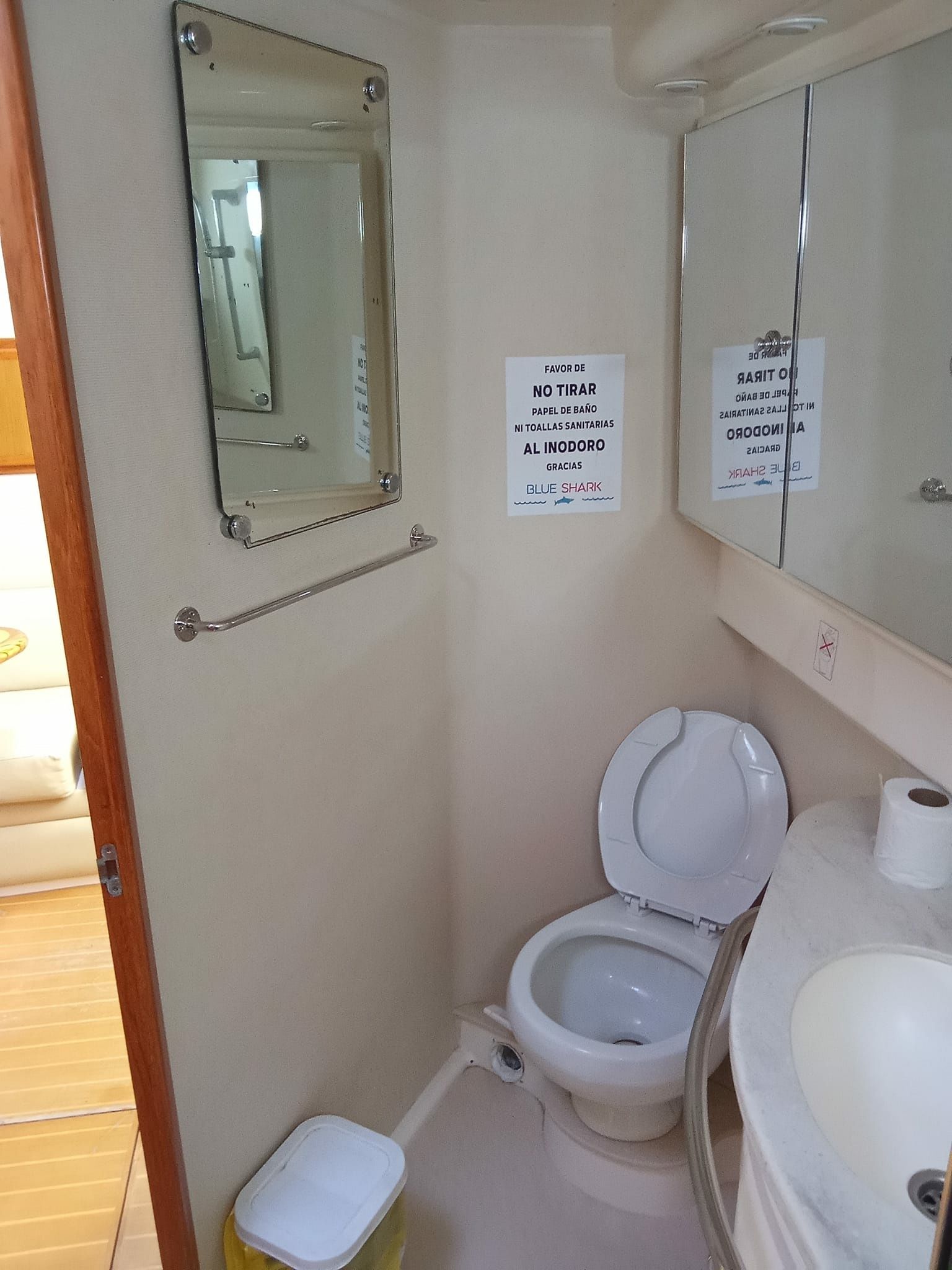 Cabo 40 | Blue Shark