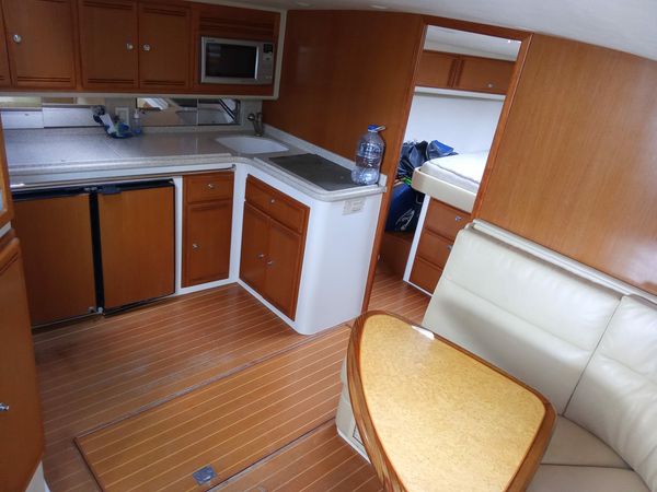 Cabo 40 | Blue Shark