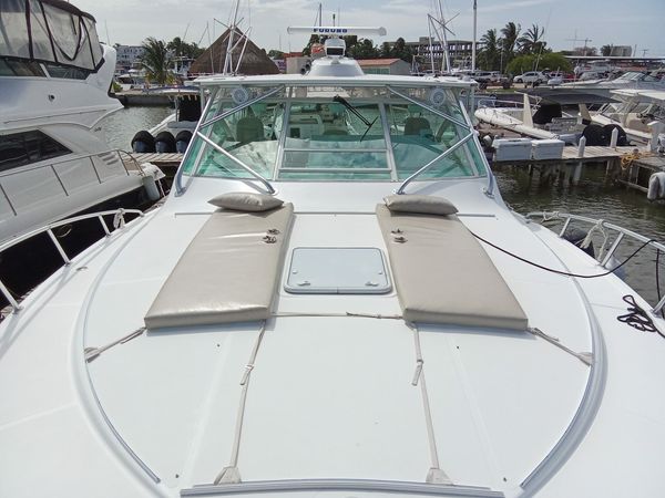 Cabo 40 | Blue Shark