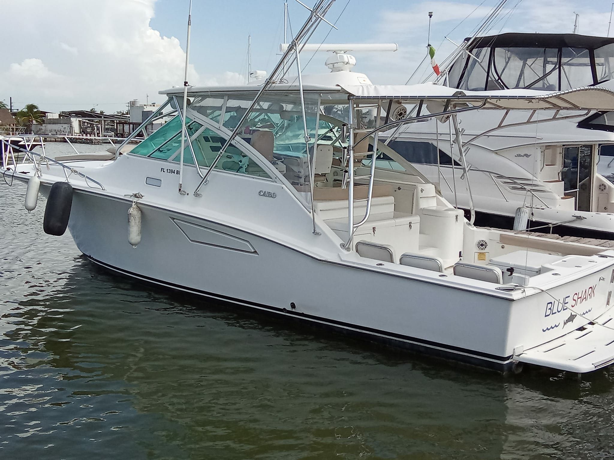 Cabo 40 | Blue Shark