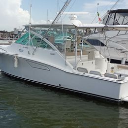 Cabo 40 | Blue Shark