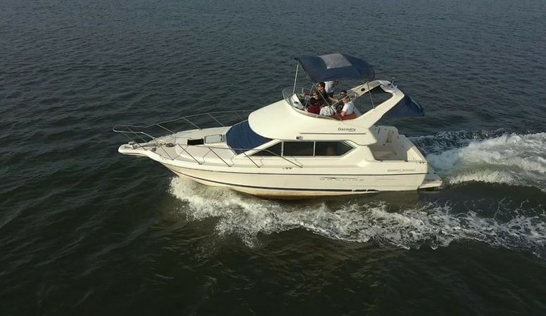 Bayliner 288 | Venus