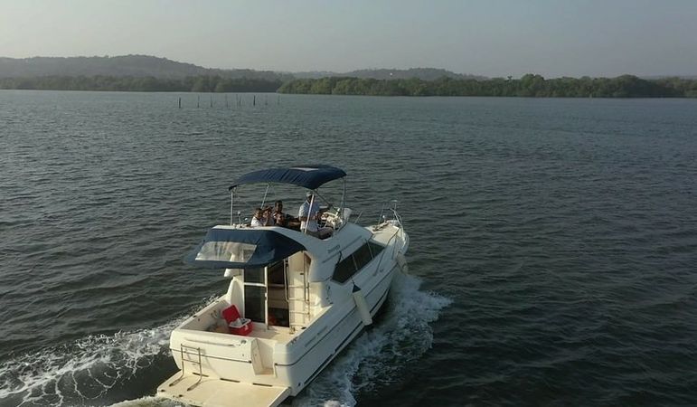 Bayliner 288 | Venus