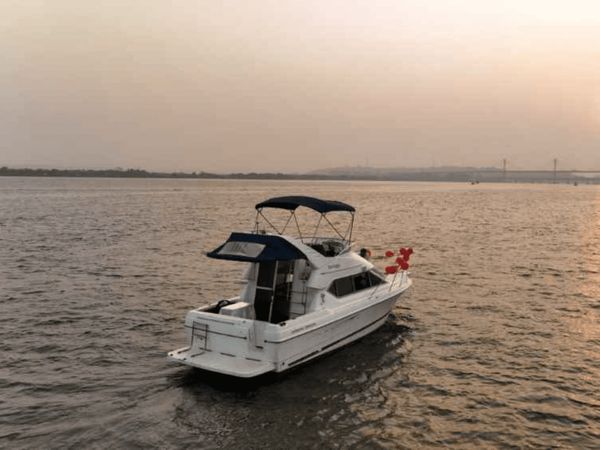 Bayliner 288 | Venus
