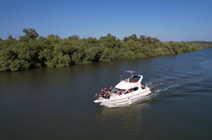 Bayliner 288 | Venus