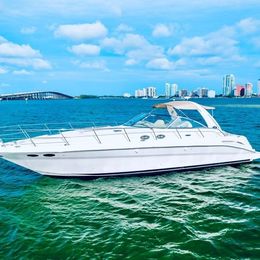 Sea Ray 45 | Finally