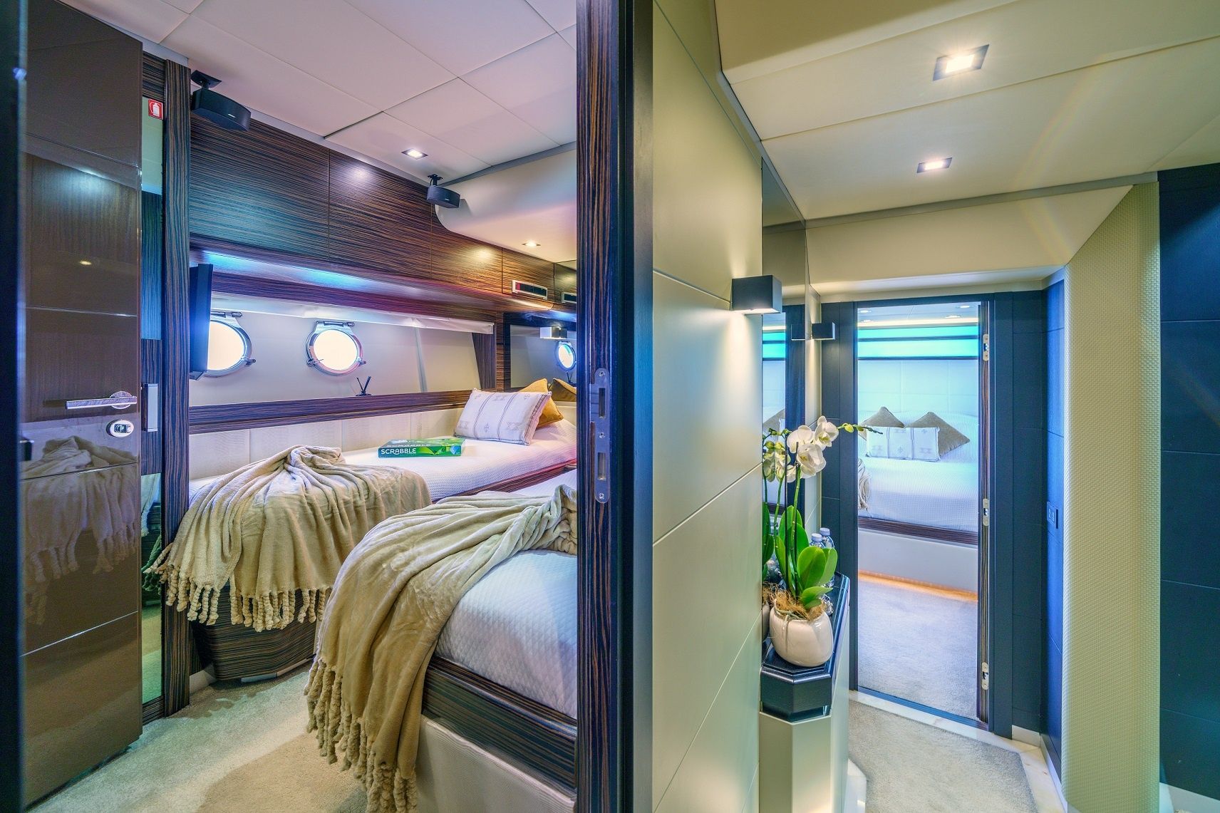 Dominator 780 | Dalia