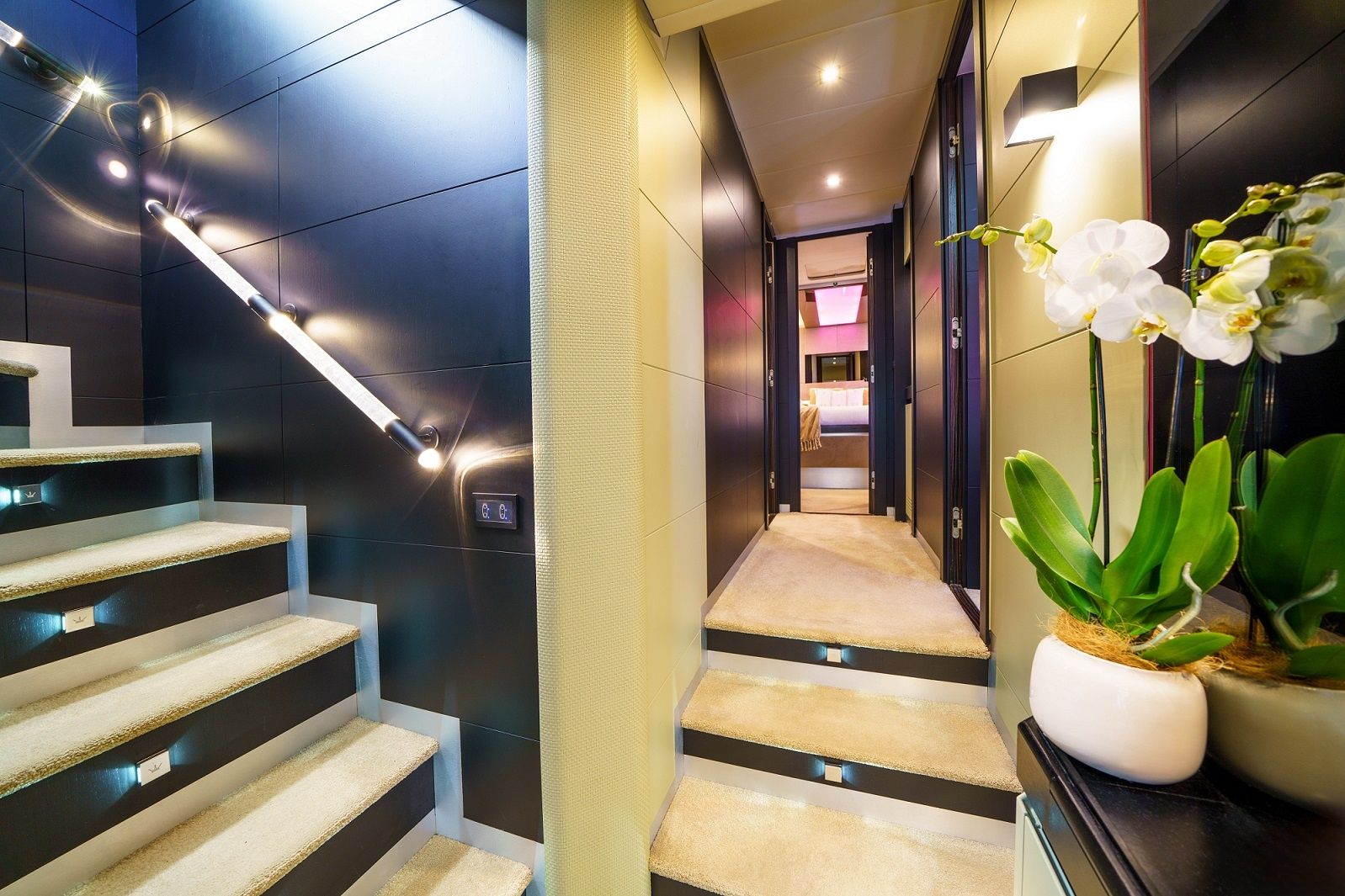 Dominator 780 | Dalia